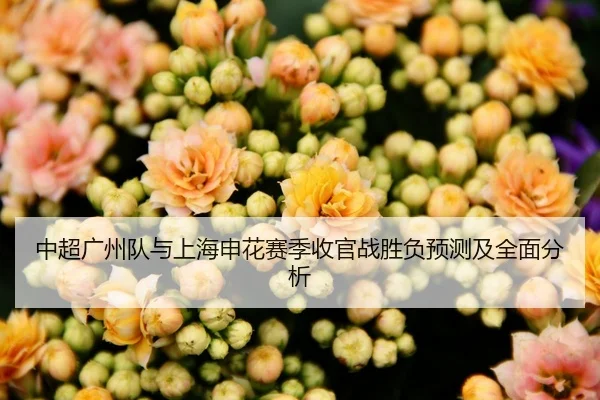 中超广州队与上海申花赛季收官战胜负预测及全面分析